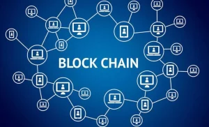 Enhancing Customs Operations with Blockchain Technology