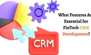 What Features Are Essential for FinTech CRM Development?